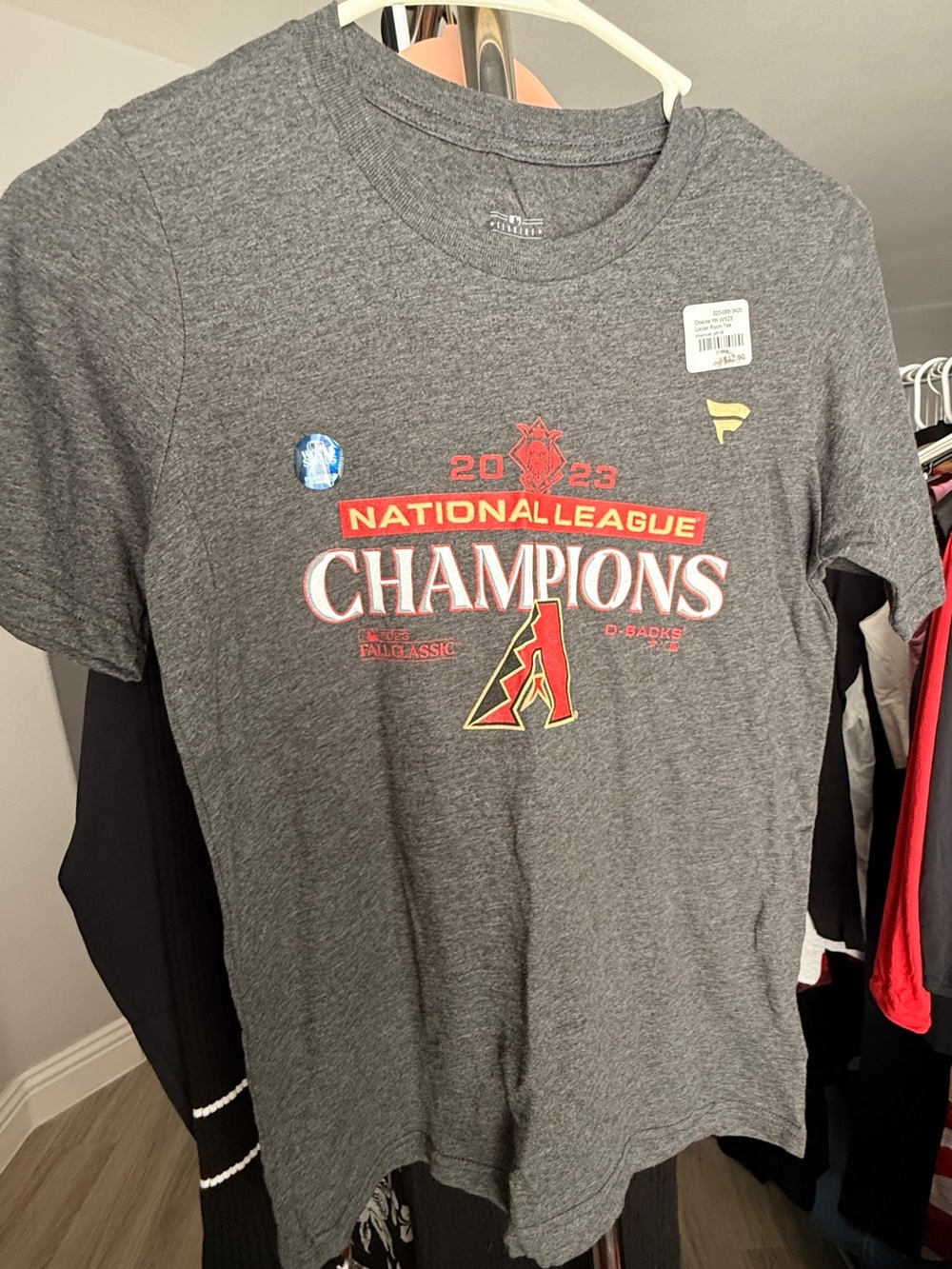 Fanatics Gray 2023 National League Champions Graphic Tee